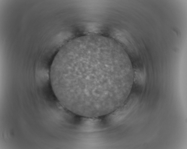 X0000113910621200910151419