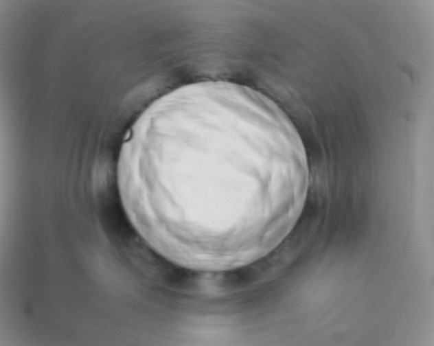 X0000113910623200910151419