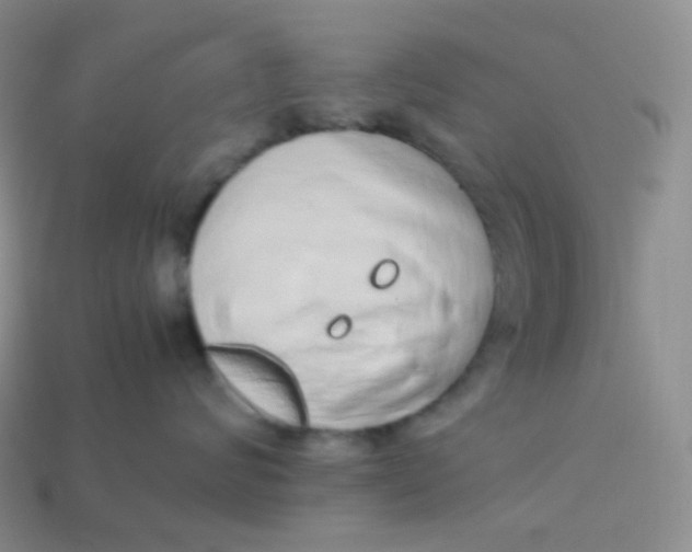 X0000113910624200910151419