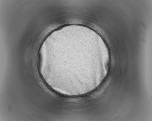 X0000113910625200910151418