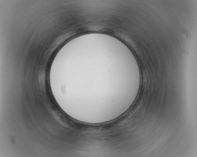 X0000113910626200910151418