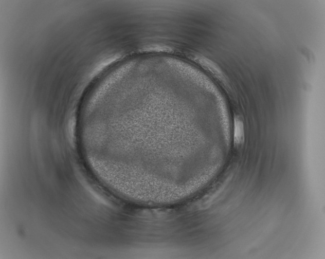 X0000113910627200910151418