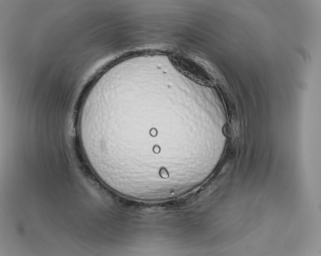 X0000113910628200910151418