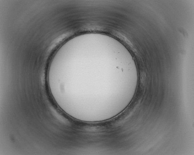 X0000113910629200910151418