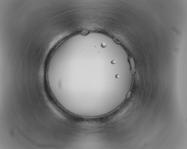 X0000113910630200910151418