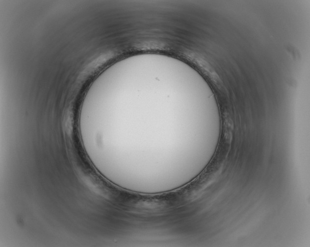 X0000113910631200910151418