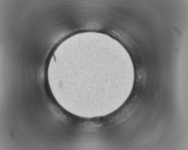 X0000113910632200910151418