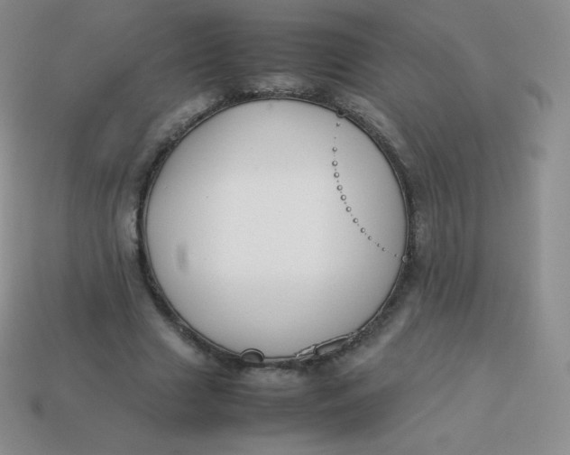 X0000113910633200910151418