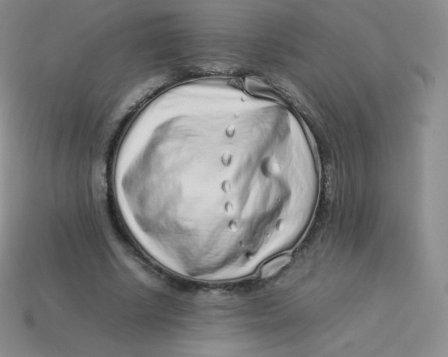 X0000113910634200910151418