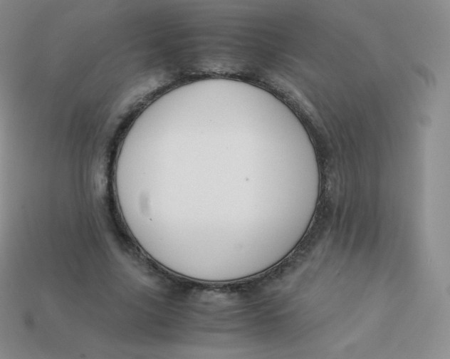 X0000113910635200910151418