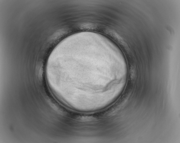 X0000113910637200910151418