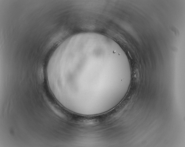 X0000113910638200910151418