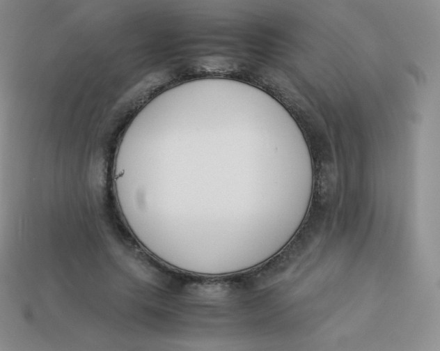 X0000113910639200910151418