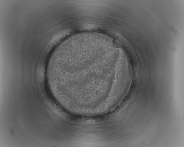 X0000113910640200910151418