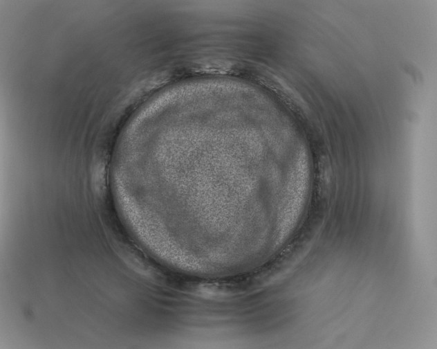 X0000113910641200910151418