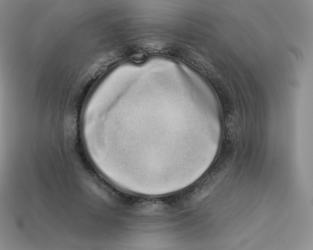 X0000113910642200910151418