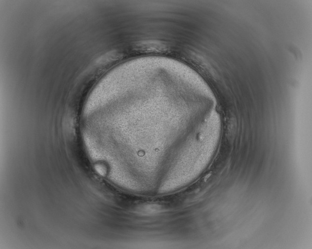 X0000113910643200910151418