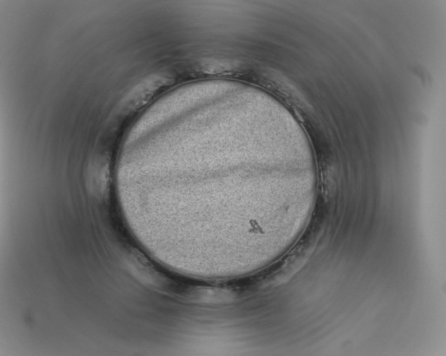 X0000113910644200910151418