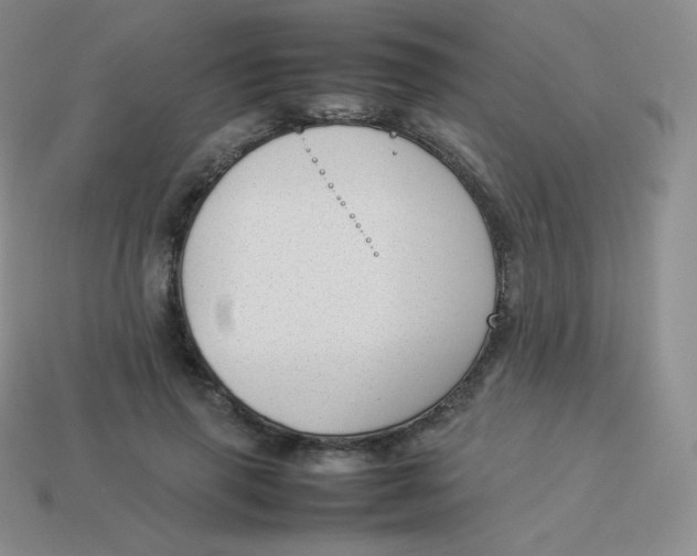 X0000113910645200910151418