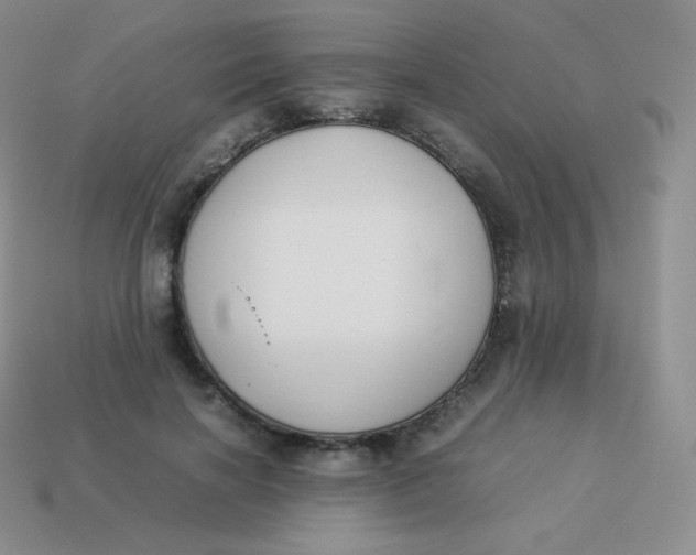 X0000113910646200910151418