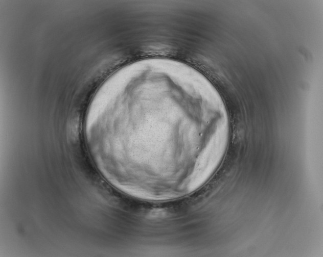 X0000113910647200910151418