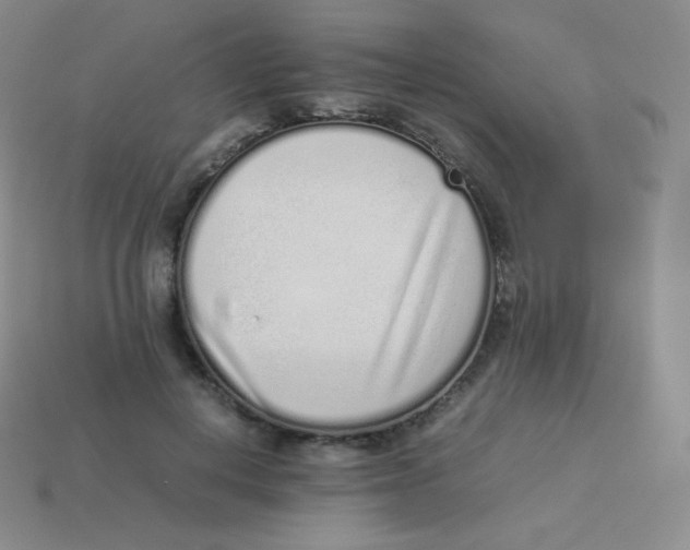 X0000113910648200910151418