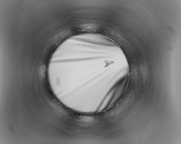 X0000113910649200910151418