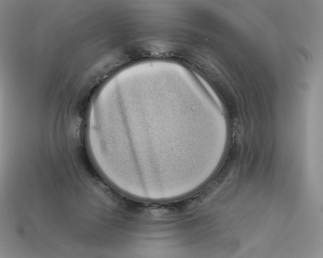 X0000113910650200910151418