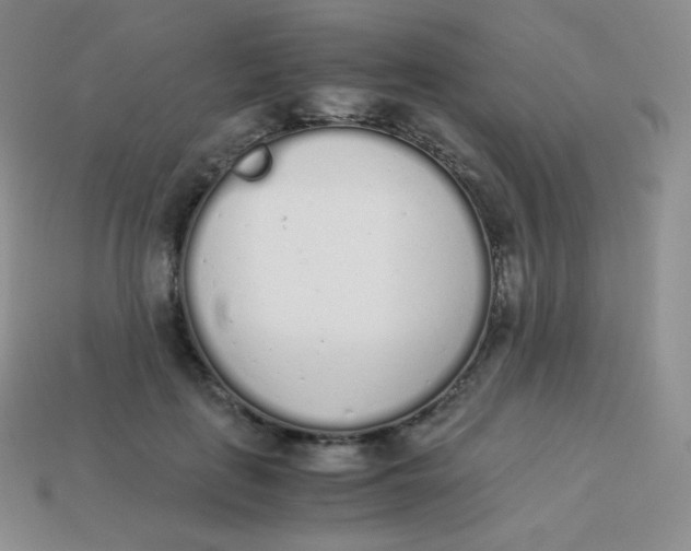 X0000113910651200910151418