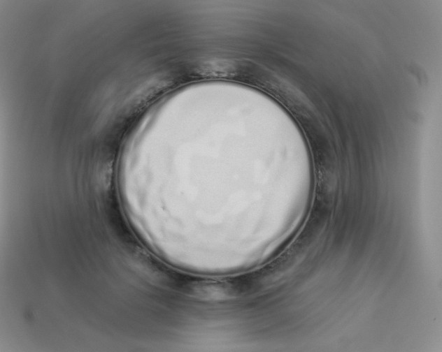 X0000113910652200910151418