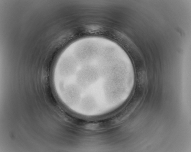 X0000113910653200910151418