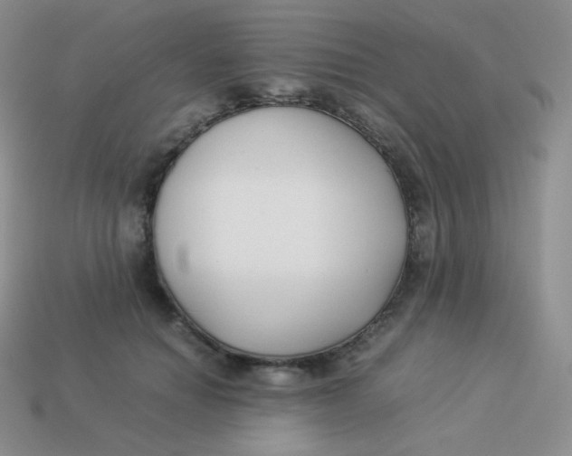 X0000113910654200910151419