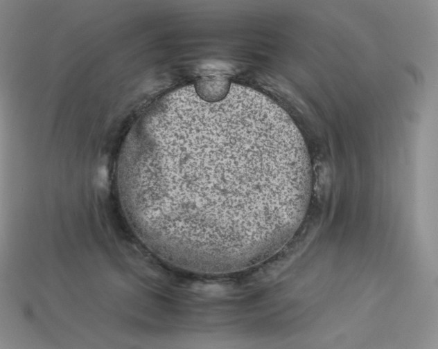 X0000113910655200910151419