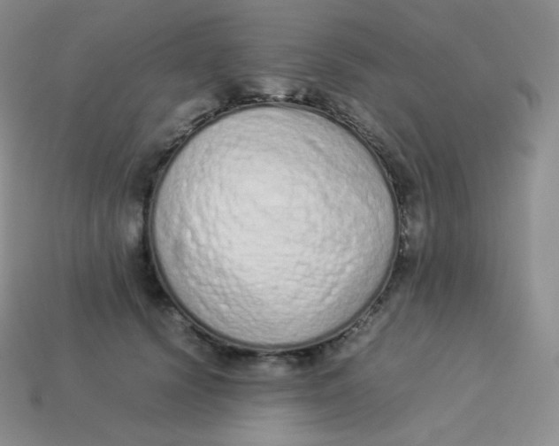 X0000113910656200910151419