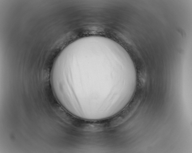 X0000113910657200910151419