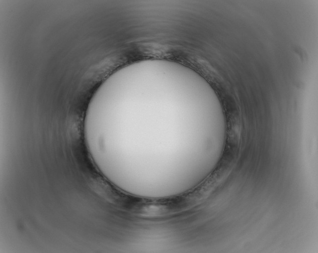 X0000113910658200910151419