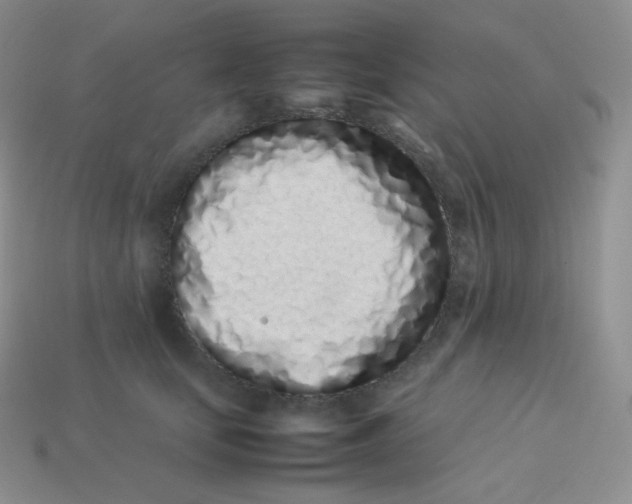 X0000113910659200910151419