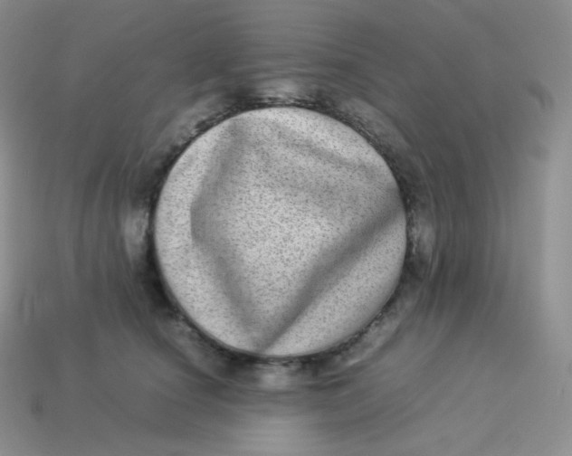 X0000113910660200910151419