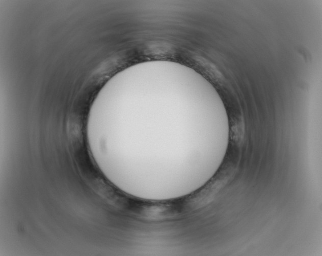 X0000113910662200910151419