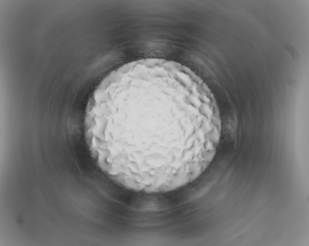 X0000113910663200910151419