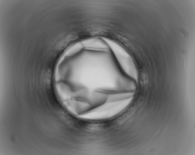 X0000113910664200910151419