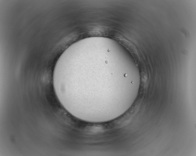 X0000113910665200910151419