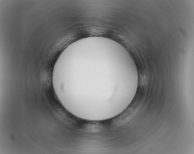 X0000113910666200910151419