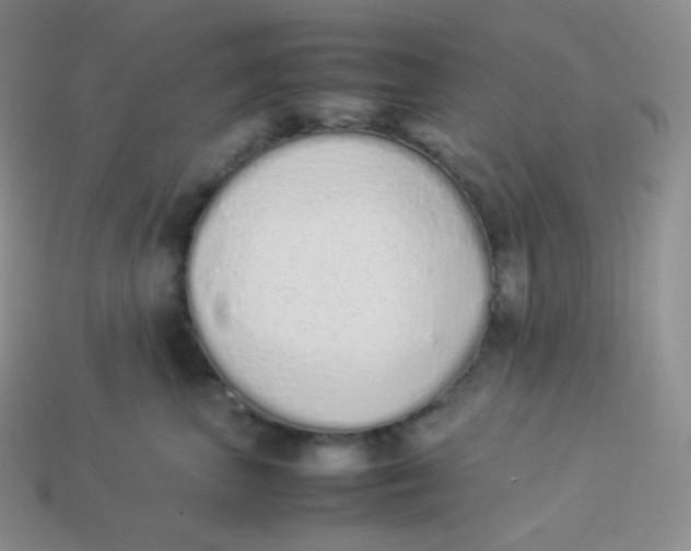 X0000113910667200910151419