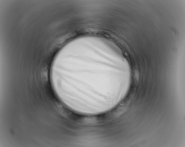 X0000113910668200910151419