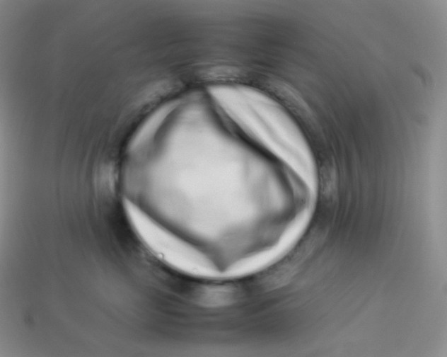 X0000113910669200910151419