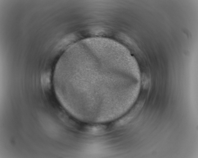 X0000113910670200910151419