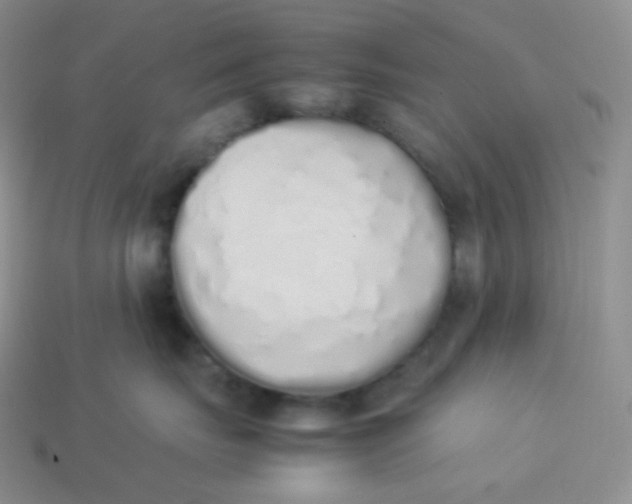 X0000113910671200910151419