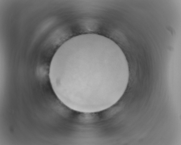 X0000113910672200910151419