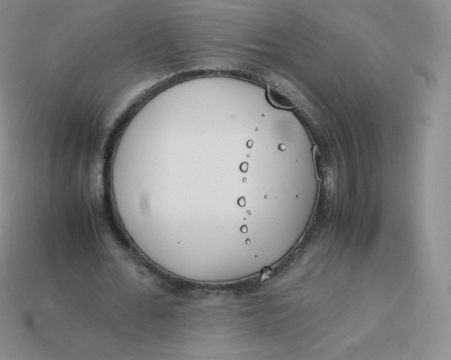 X0000113910676200910151418